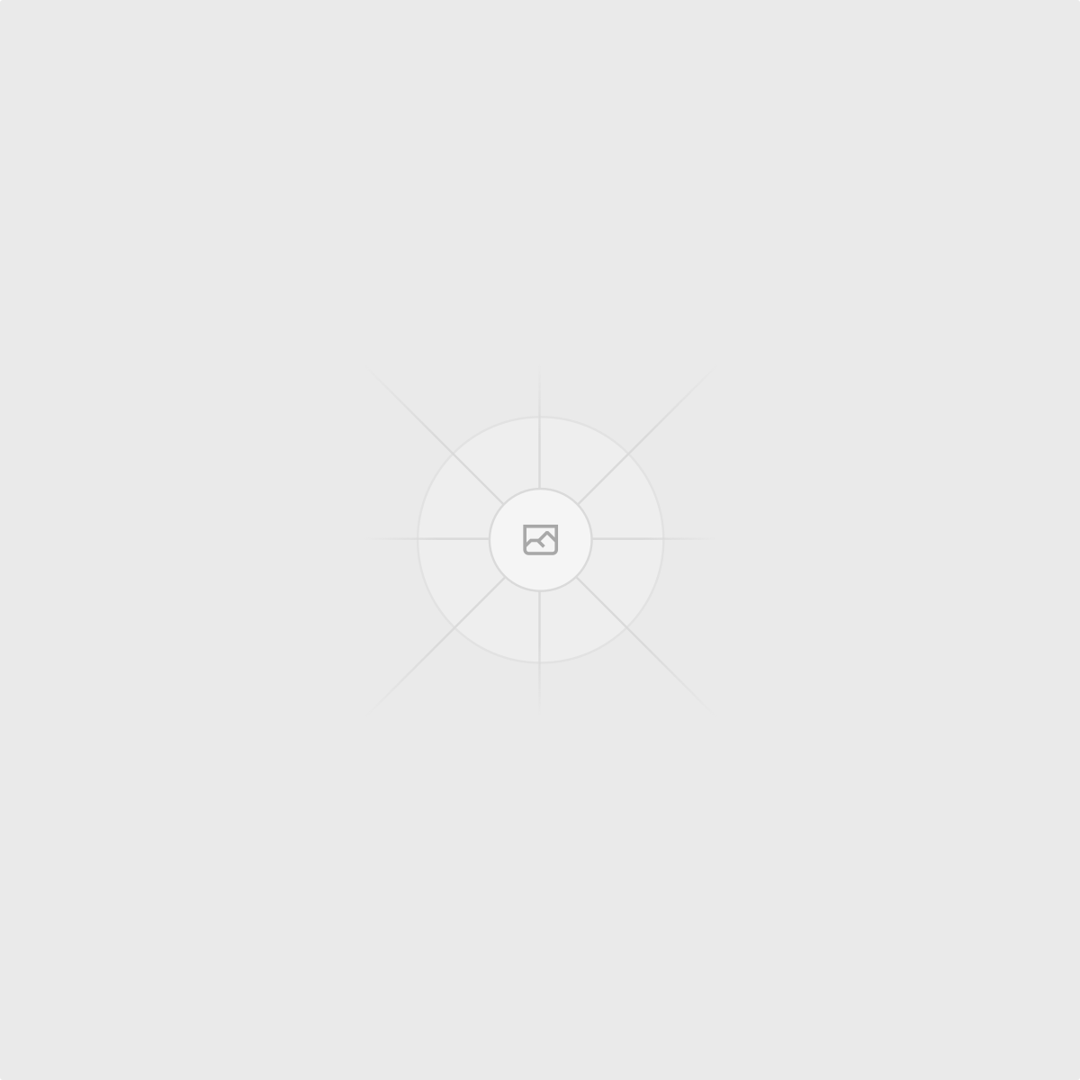 Product Roadmap